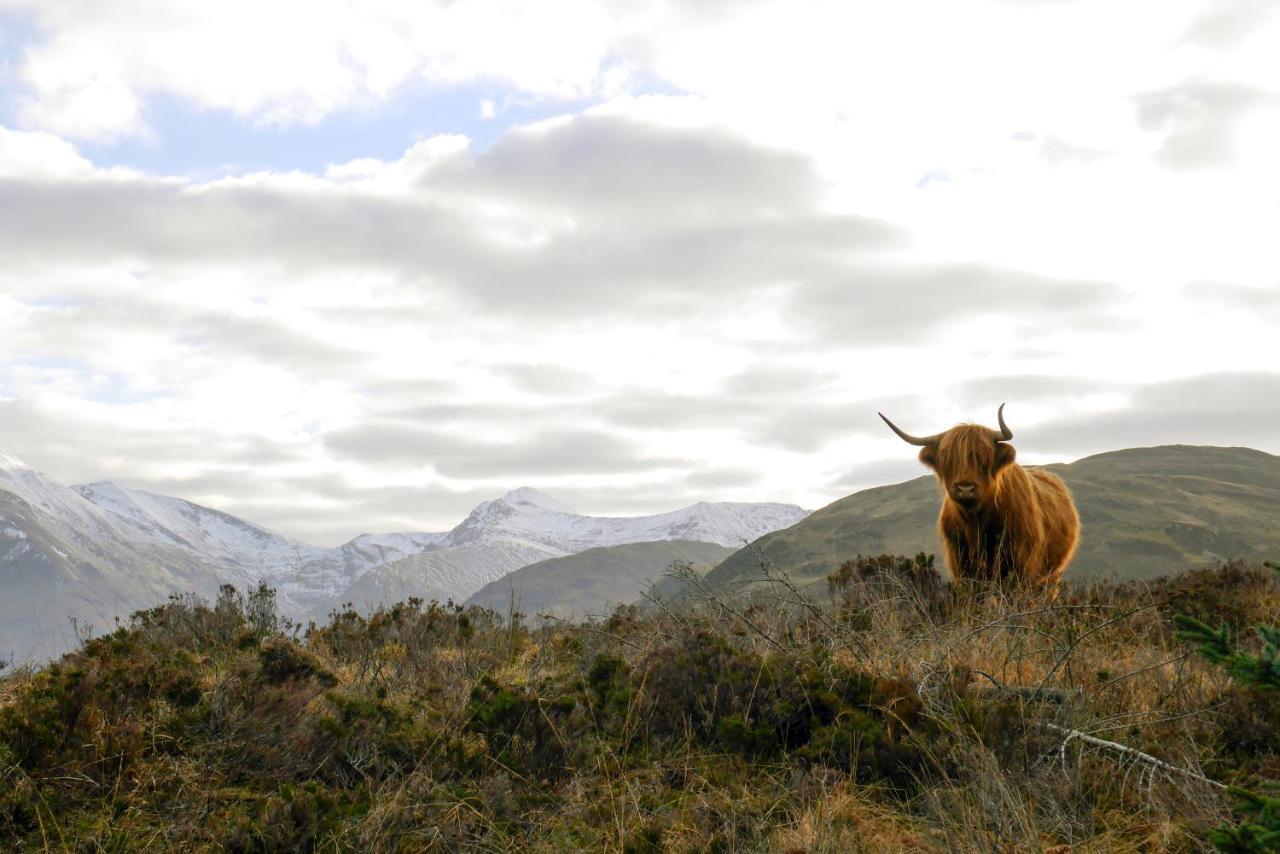 Glen Nevis Holidays Fort William Bagian luar foto